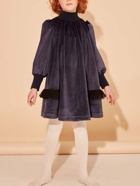 107 The Middle Daughter Velvet Dress